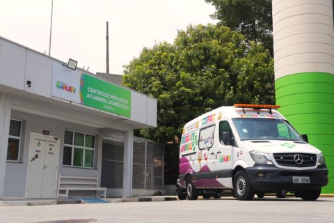 Cepad II é o local que salva pets e animais silvestres em Barueri. Saiba mais aqui!