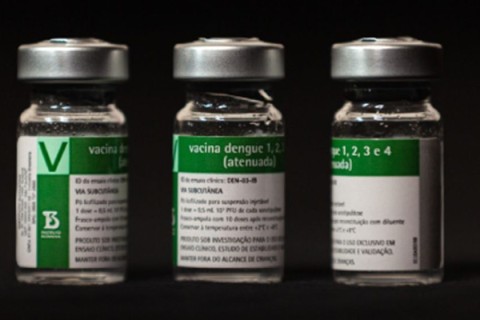 Vacina da dengue do Butantan inicia Aplicação em três cidades brasileiras