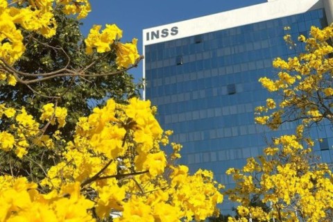 Mais de meio milhão de aposentados e pensionistas já aderiram ao acordo de ressarcimento do INSS