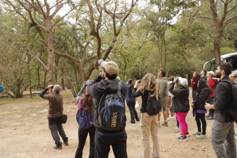 “Vem Passarinhar” atrai observadores de aves ao Parque Ecológico do Tietê, em Barueri